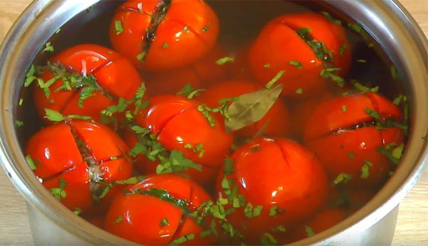 Малосольные помидоры с чесноком и зеленью быстрого приготовления – 7 рецептов с пошаговыми фото