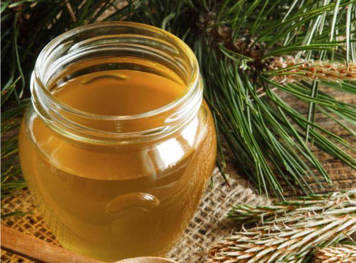 Грецкие и кедровые орехи с медом, отичительные особенности, их польза и вред