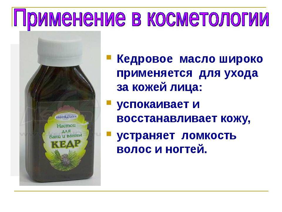 Кедровое масло: лечебные, полезные свойства и противопоказания, отзывы о применении