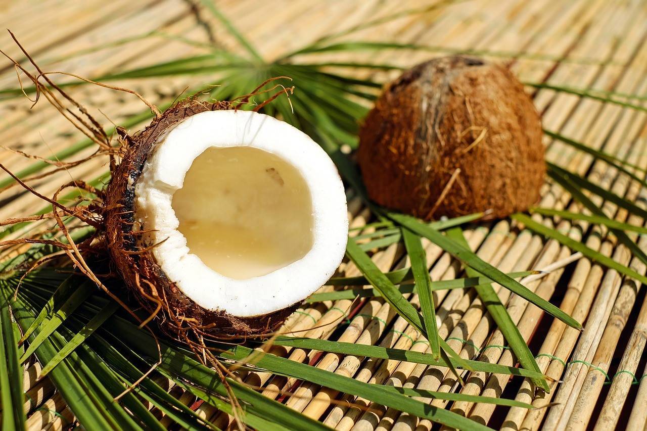 Польза и вред кокоса для здоровья, как принимать, калорийность