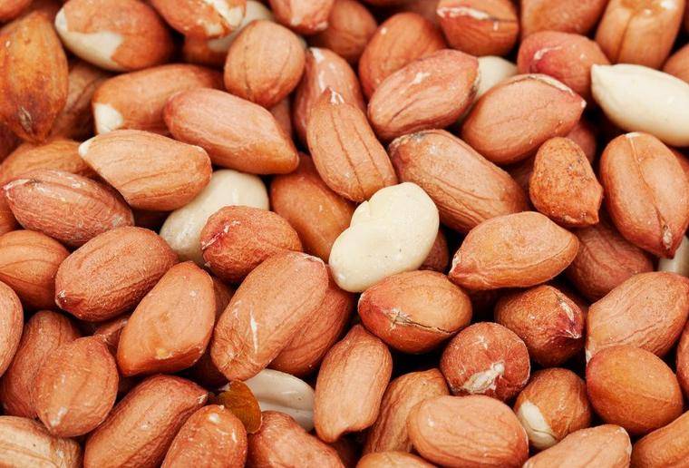 Польза и вред арахиса для здоровья человека