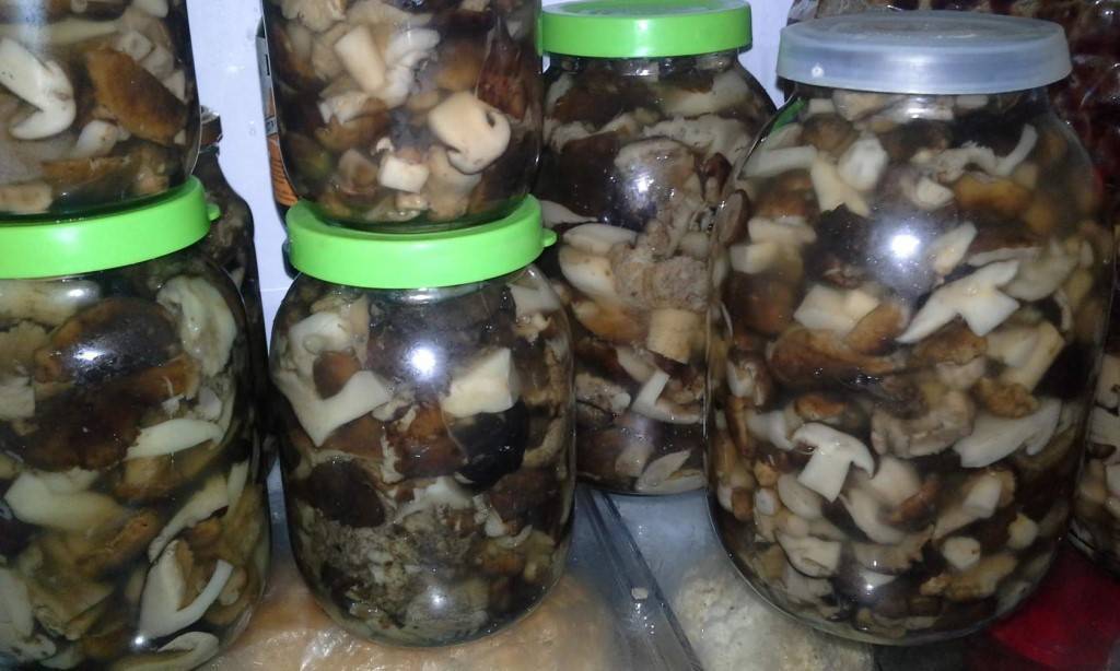 Как солить грибы в домашних условиях: рецепты