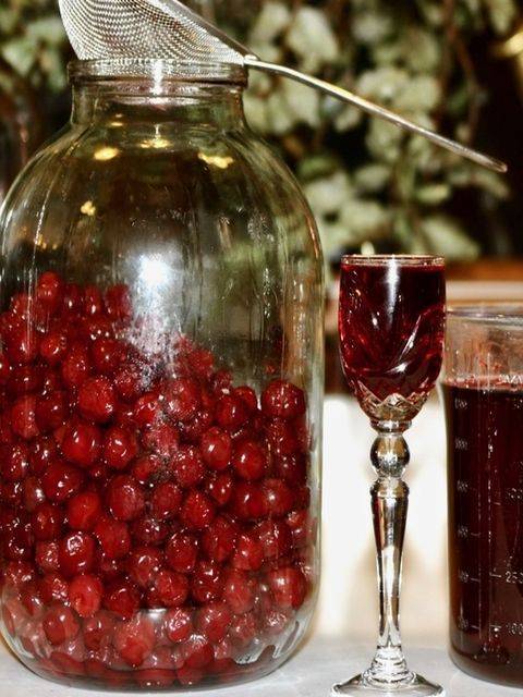Наливка из вишни на водке: три простых рецепта и один на спирту