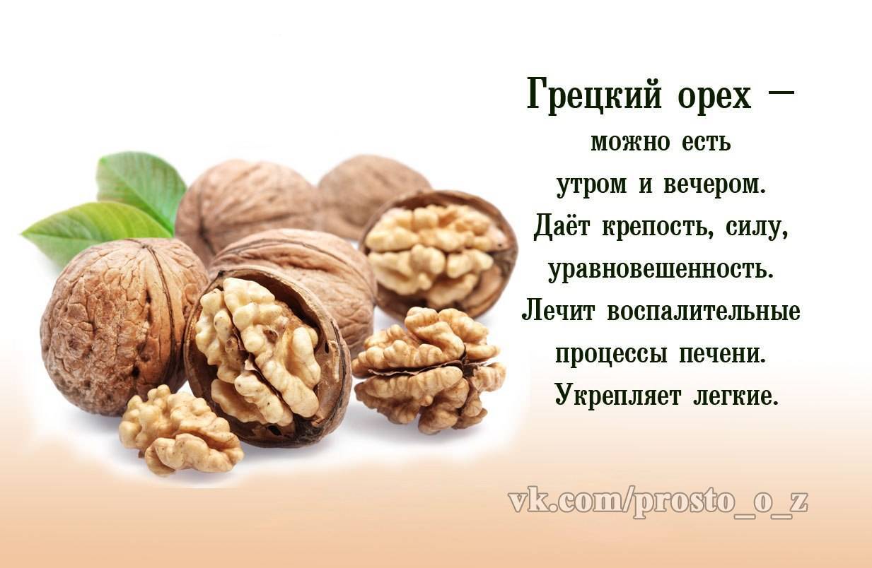 Орехи для потенции: самые полезные орехи для мужчин | mansecret