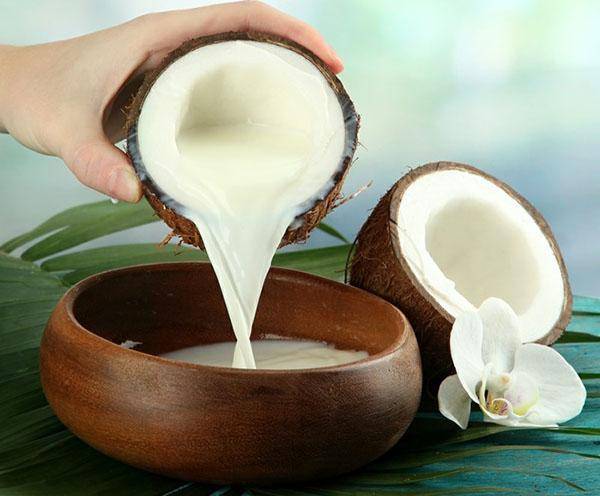 Рецепт райского наслаждения: свойства, польза и вред кокосового молока