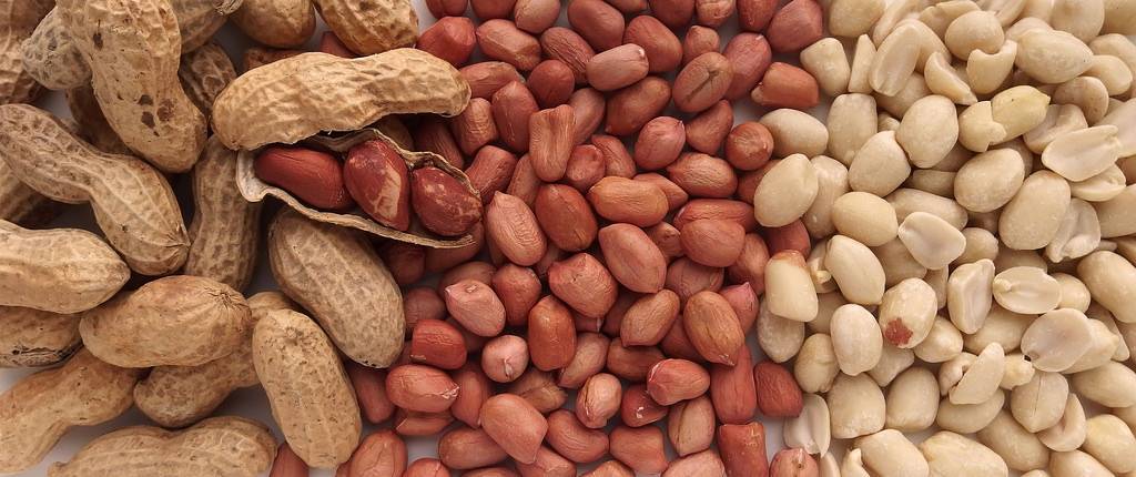 Соленый жареный арахис: польза и чем вреден | польза и вред