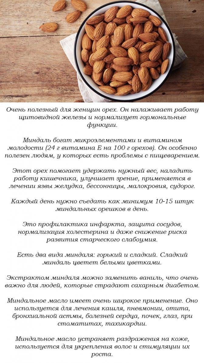 Грецкие орехи: полезные свойства и противопоказания, сколько съедать в день