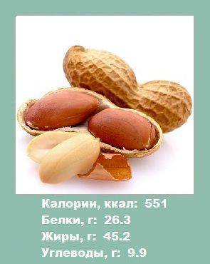 Калорийность арахиса: сырого, жареного, солёного