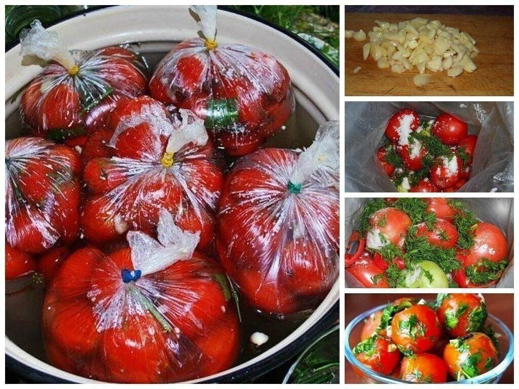 Квашеные зеленые помидоры. рецепт в банках, ведре, кастрюле, холодного засола с чесноком, зеленью, водой, горчицей