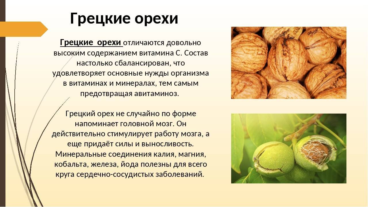 Грецкий орех детям - можно ли, польза, с какого возраста (масло, настойка)?