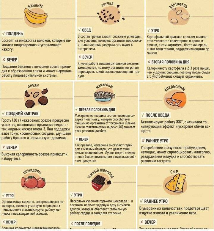 Грецкие орехи, польза и вред для организма, сколько нужно съесть | life-kiss