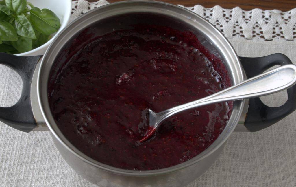 Желе из черной смородины: рецепты на зиму, как приготовить смородиновый джем без желатина