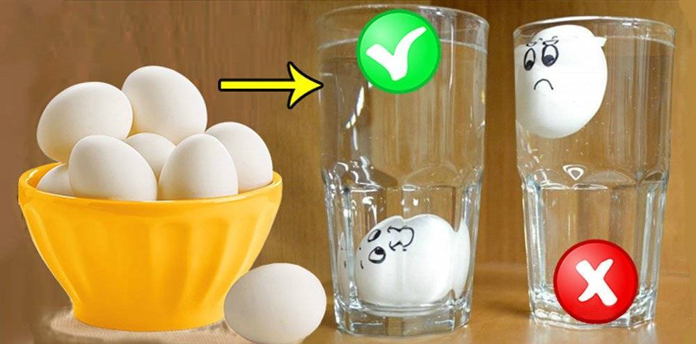 Свежесть сырого яйца