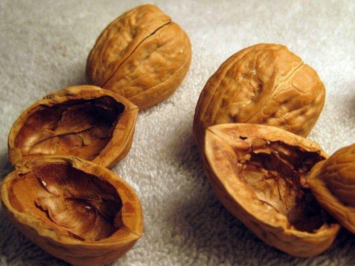 Скорлупа грецкого ореха: применение, лечебные свойства и противопоказания
