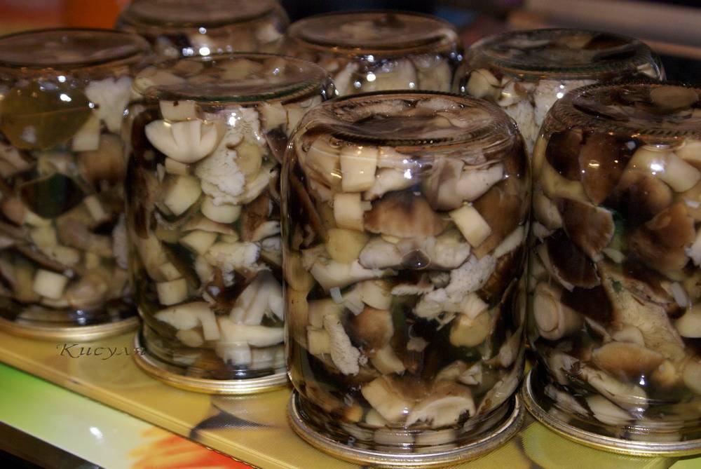 Рассол для грибов маринованных. маринованные шампиньоны в домашних условиях — 7 очень вкусных рецептов быстрого приготовления | здоровье человека