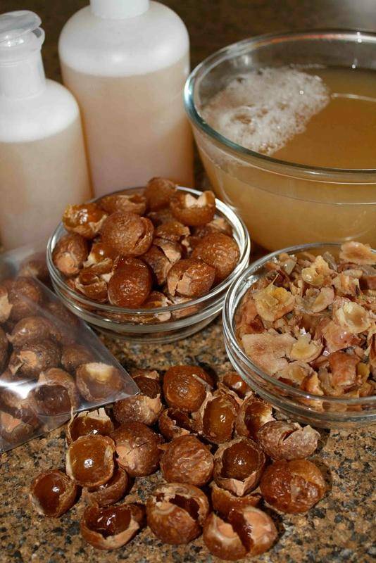 Мыльными орехами стирают, моют, чистят…