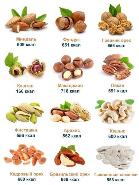 Химический состав, калорийность, польза и вред для организма самого дорогого в мире ореха макадамия
