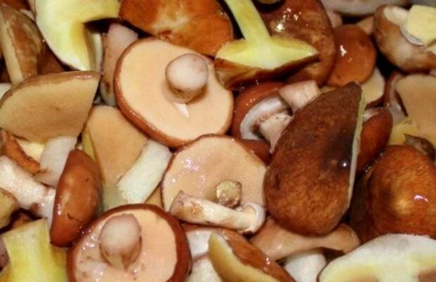 Как варить грибы: сколько варить грибы правильно по времени