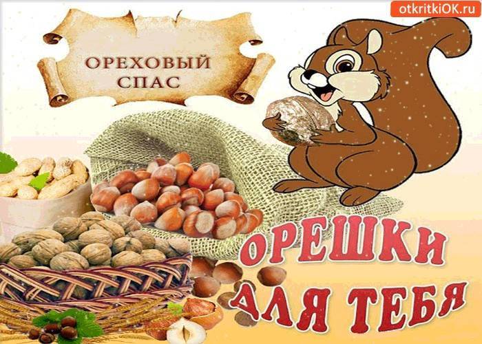 Ответы к занятию № 13 |  умники и умницы