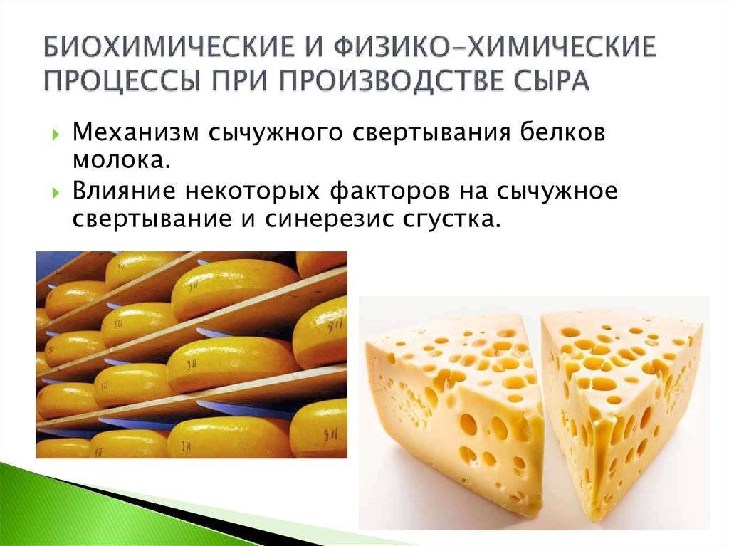 Сергеева и.ю технологии продуктов питания из сырья животного происхождения - файл n1.doc