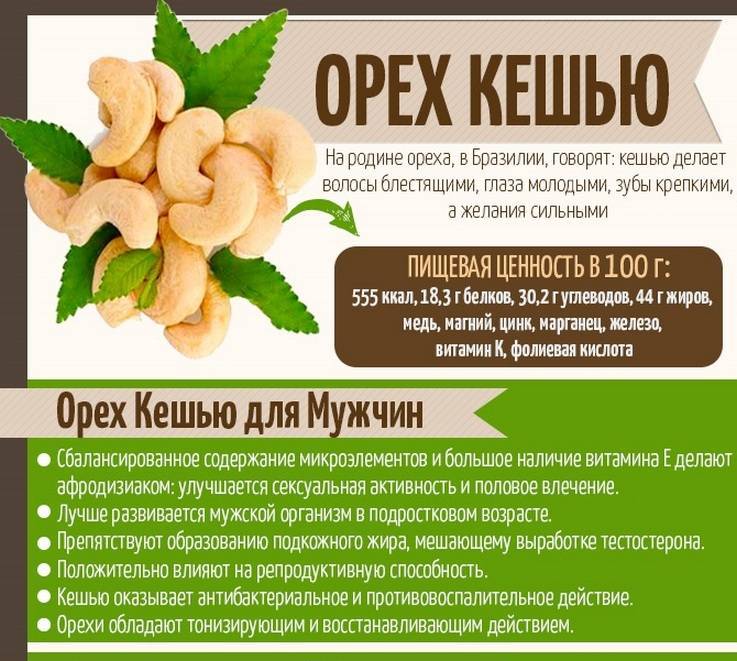 Орехи кешью полезные свойства и противопоказания