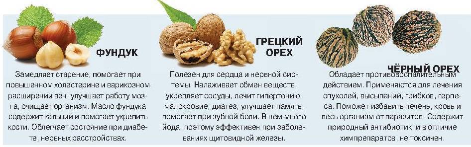 Как влияет грецкий орех: повышает или понижает давление
