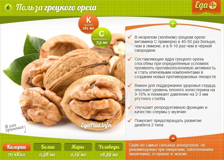 Грецкий орех: польза и вред для организма. народные рецепты