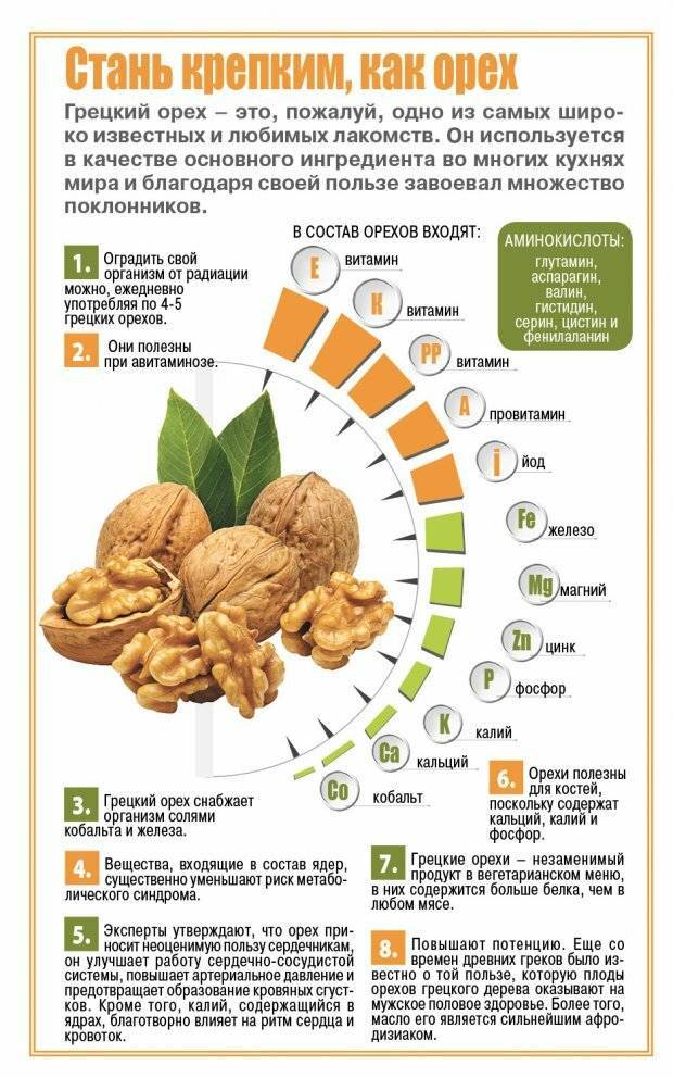 Польза и вред орехов для организма, суточная норма и состав | уличная еда - быстро и вкусно