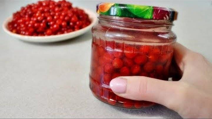 Калина на зиму: самые полезные, простые и очень вкусные рецепты заготовок