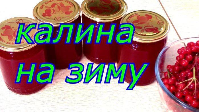 Что приготовить из калины красной на зиму рецепты