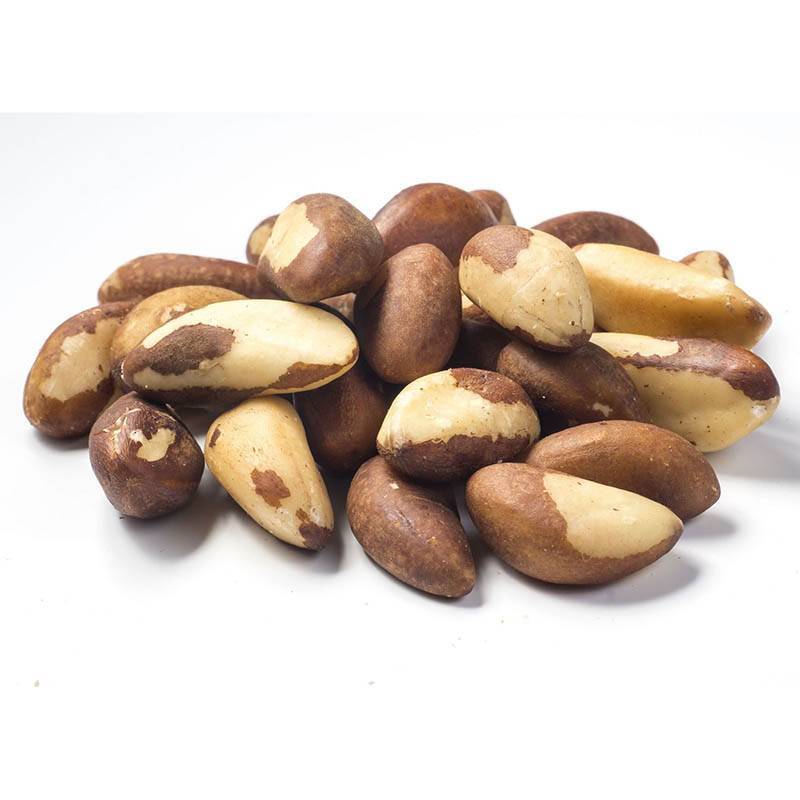 Полезные свойства и противопоказания к употреблению бразильского ореха