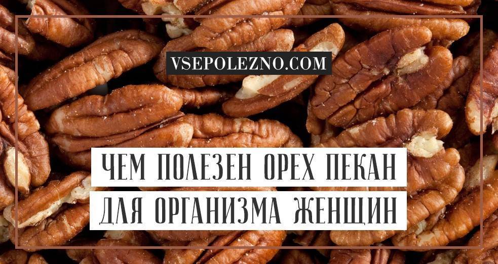 Орех пекан — польза и вред для организма