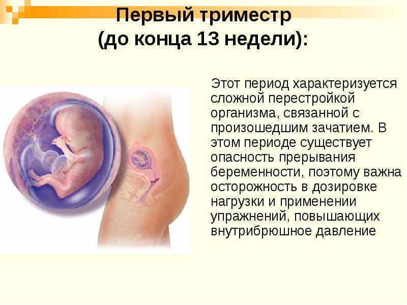 Орехи при беременности: польза, вред, суточные нормы