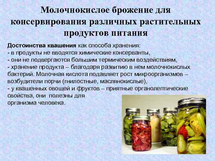 Микробиологические способы консервирования. хранение и переработка овощей