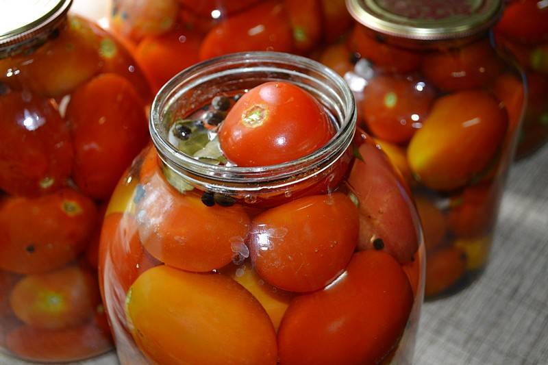 Соленые помидоры на зиму: копилка витаминов. простые и вкусные варианты приготовления соленых помидоров на зиму
