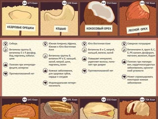 6 видов орехов, которые рекомендуют употреблять при похудении, и можно ли есть продукт на ночь?