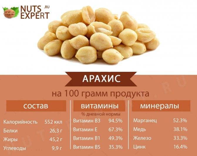 Вред, польза, калорийность арахиса на 100 грамм