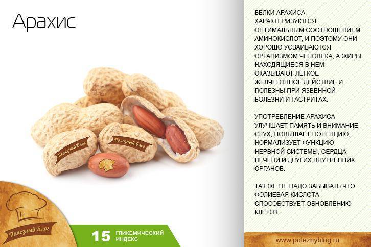 Польза и вред арахиса: свойства для здоровья человека, для организма женщин и мужчин, какой орех лучше - сырой или жареный, сколько нужно съесть