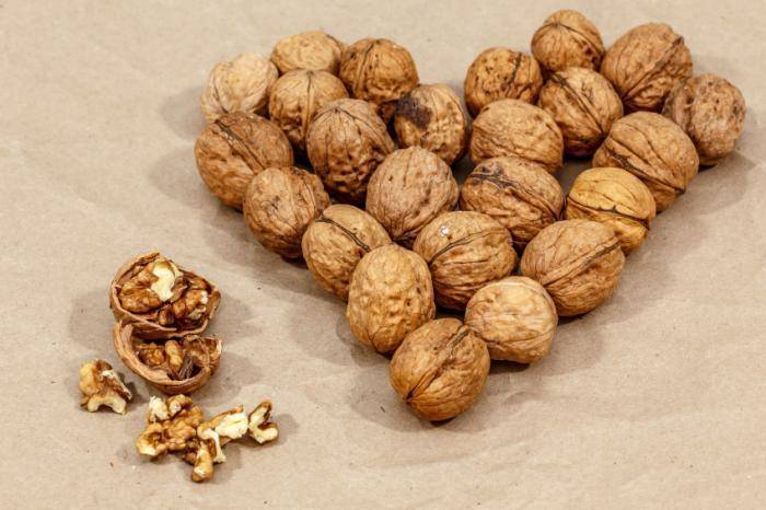 Крупные грецкие орехи сонник для женщины
