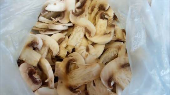 Большая заморозка-3. как заморозить грибы, сохранив аромат