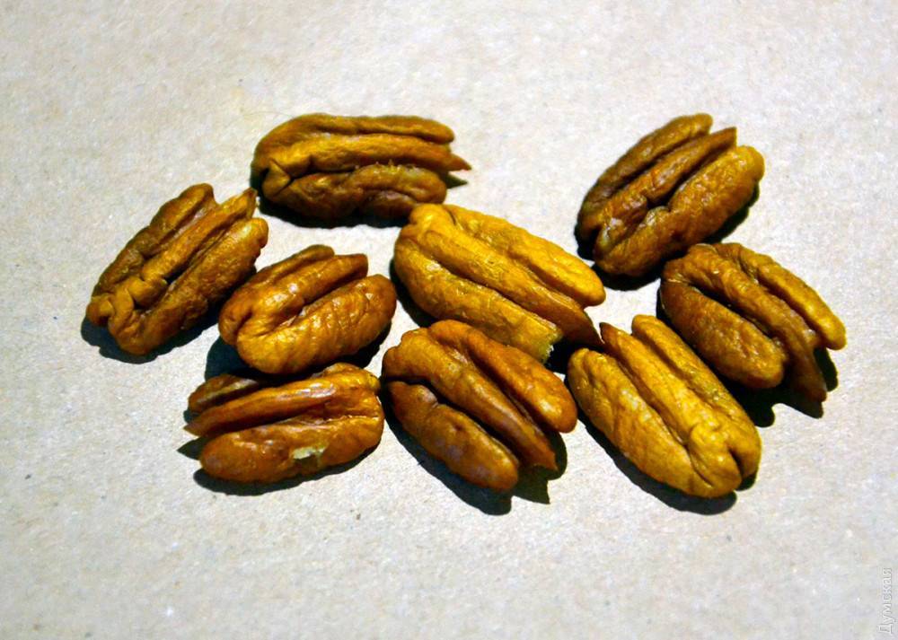 Фрукты и орехи крыма (24 фото): мандарины, персиковые сады и другие виды. когда в крыму созревает черешня? какие орехи растут в крыму?