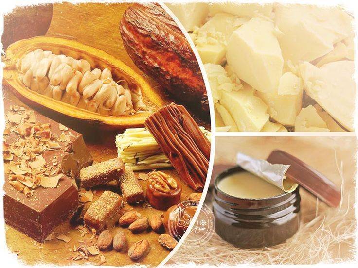 Масло какао – 5 полезных свойств и применение в косметологии