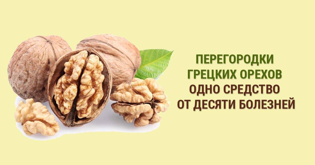 Перегородки грецких орехов: полезные свойства и вред, применение