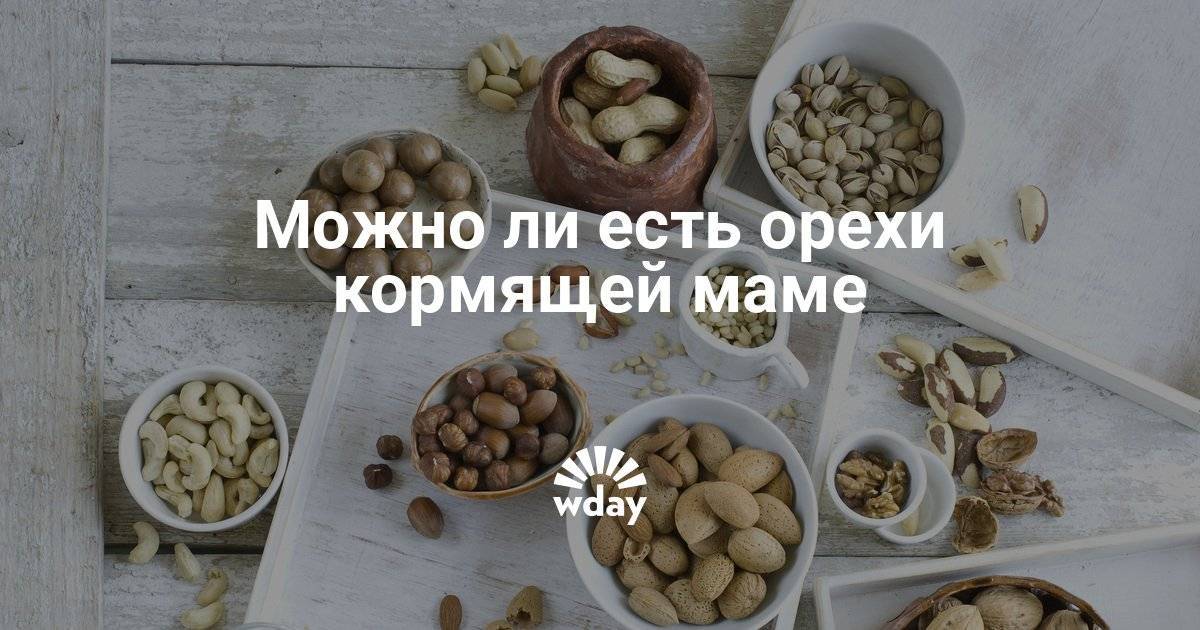 Какие орехи можно при грудном вскармливании в первый и последующие месяцы / mama66.ru