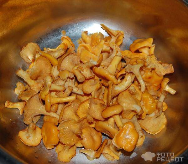 Как приготовить грибы лисички - 7 отборных рецептов ????