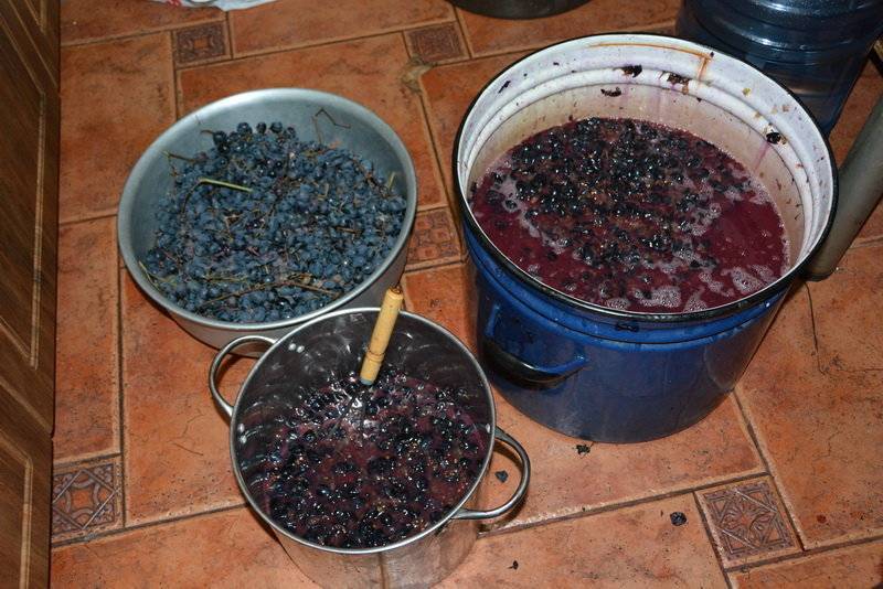 Вино из винограда в домашних условиях: как делать, рецепт приготовления пошагово
