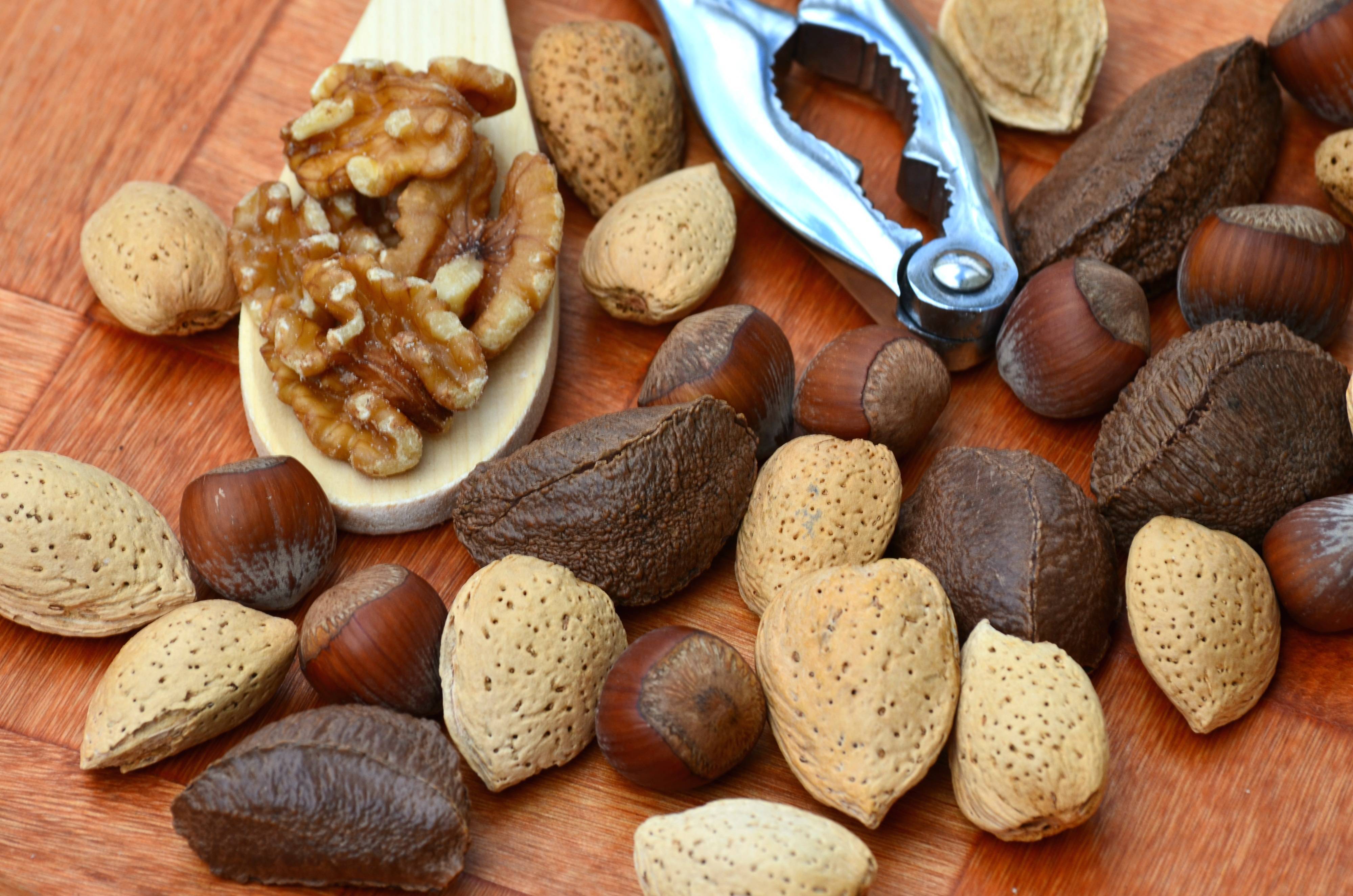 Орехи — что это за плод, что скрывается под этим определением