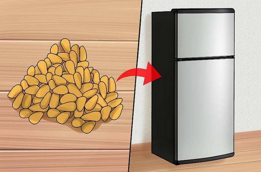 Как хранить кедровые орехи в домашних условиях (очищенные и нет)