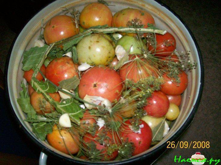 Зеленые помидоры на зиму в банках - 11 простых рецептов "пальчики оближешь"
