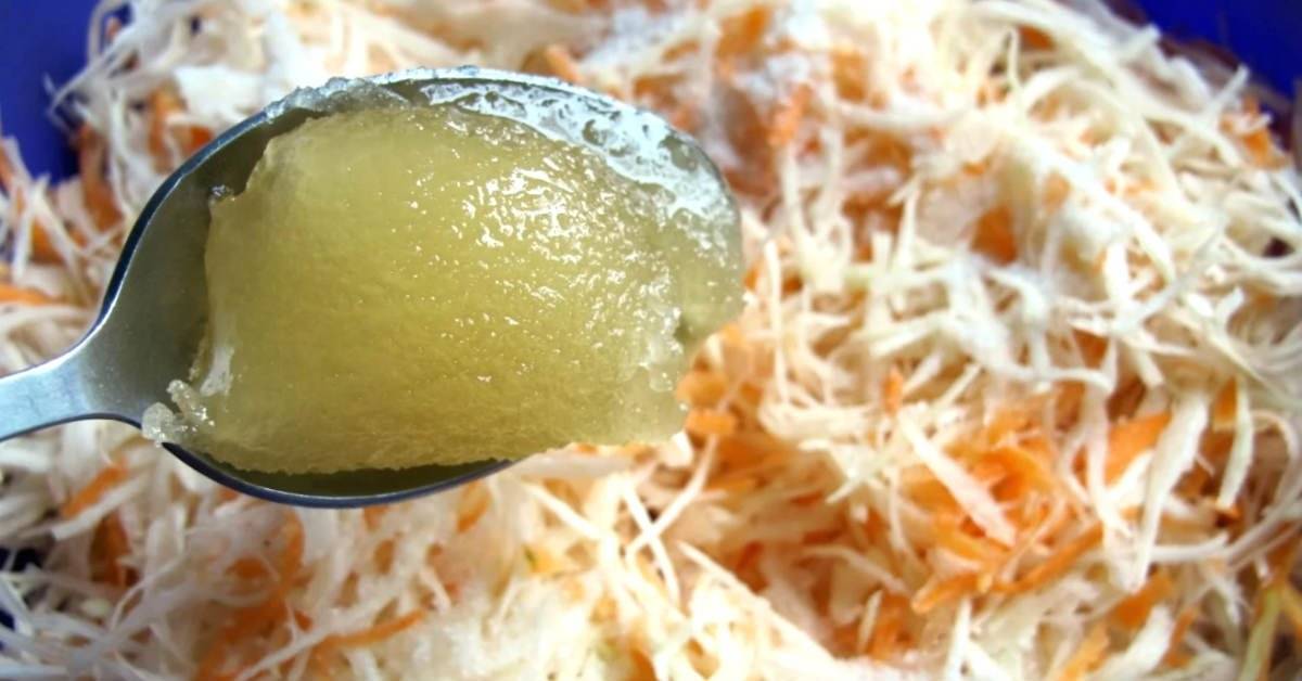 Квашеная капуста с медом — 8 рецептов быстрого приготовления очень вкусной квашеной капусты на зиму